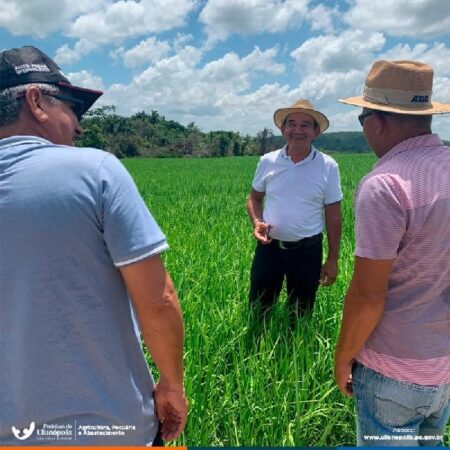 Equipe da Secretaria de Agricultura de Ulianópolis Leva Parceiros do Município de Tome-açu para Visita Técnica